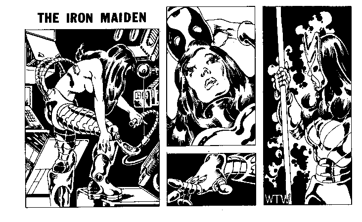 Iron Maiden copyright Bill Willingham.  Used without permission.