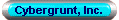 Cybergrunt, Inc.